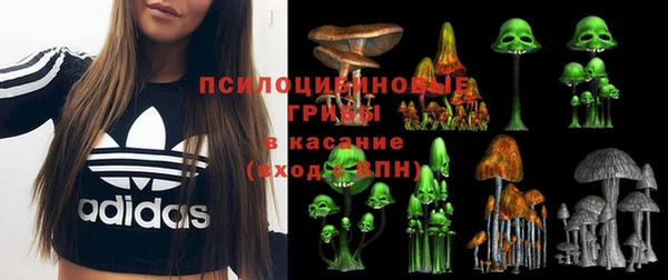 a pvp Баксан