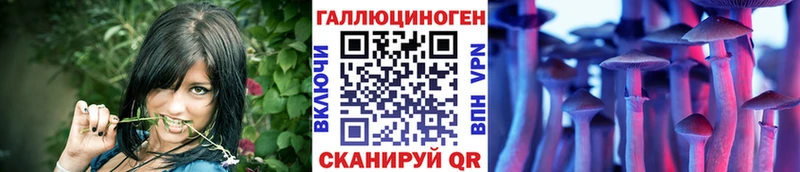 Галлюциногенные грибы Cubensis  Купить закладки  Железногорск-Илимский 